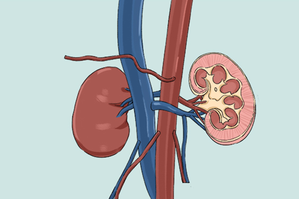 «����ˮ�Ĺ�Ч��ʲô «����ˮ�Ĺ�Ч������